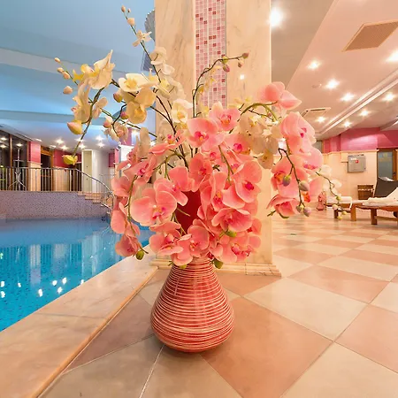 клуб централ 4*