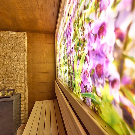 клуб централ 4*