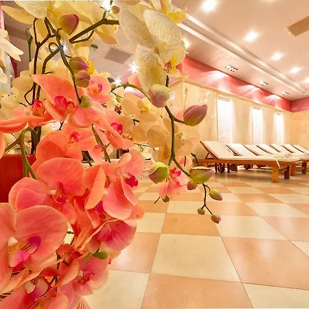 клуб централ 4*